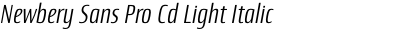 Newbery Sans Pro Cd Light Italic